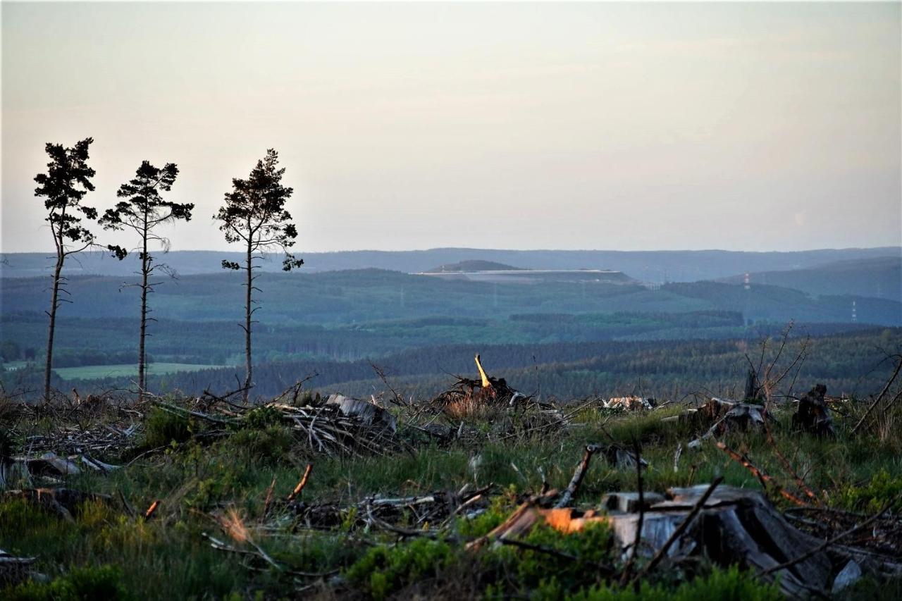 "Petite Perle En Haute Ardenne" Avec Vue Sur La Vallee, Cabine Infra-Rouge Et Bain Balneo Lierneux Luaran gambar